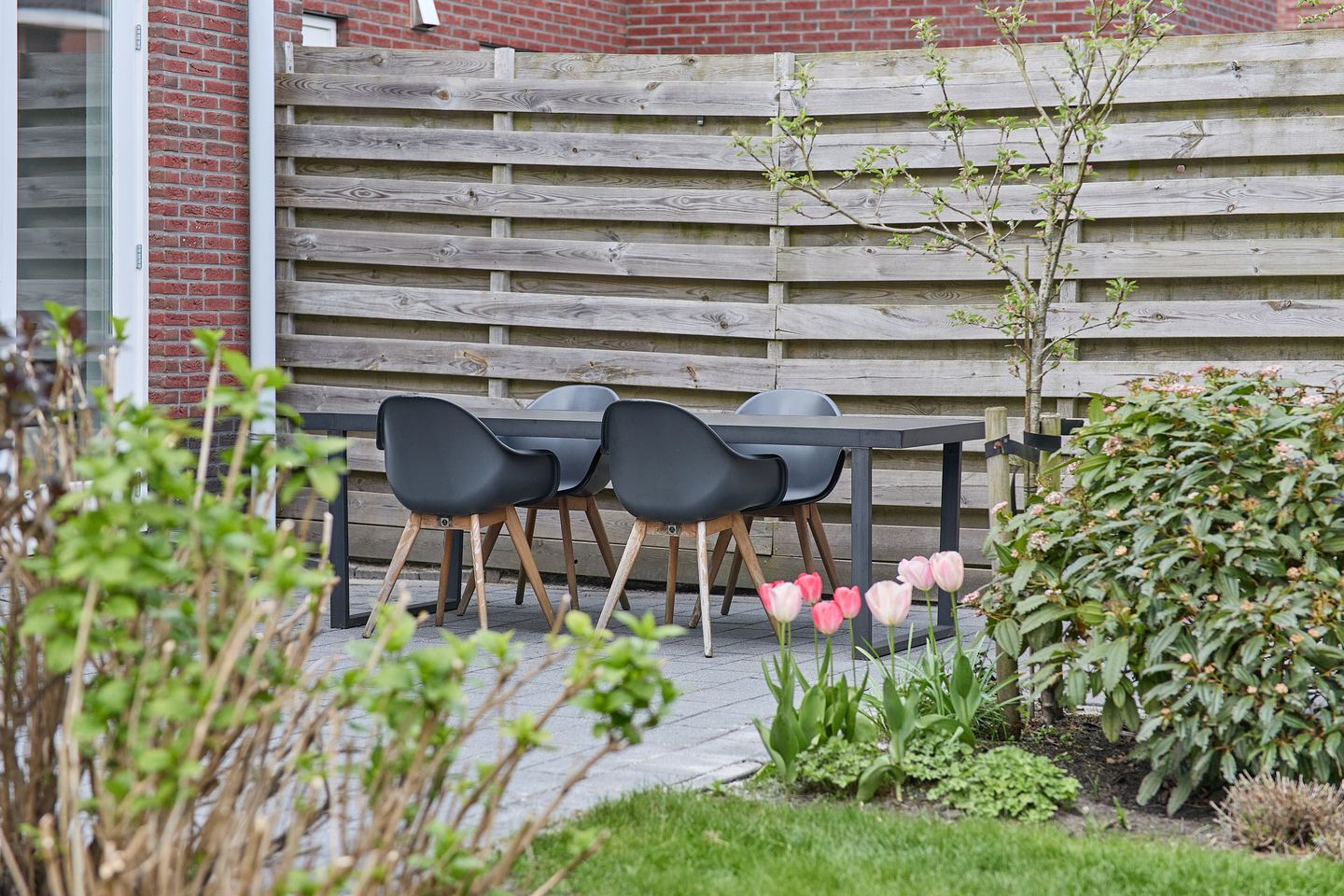 Foto 35 van Vederkruid 1