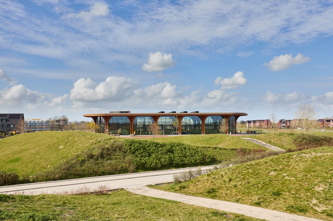 Foto 61 van Vederkruid 1