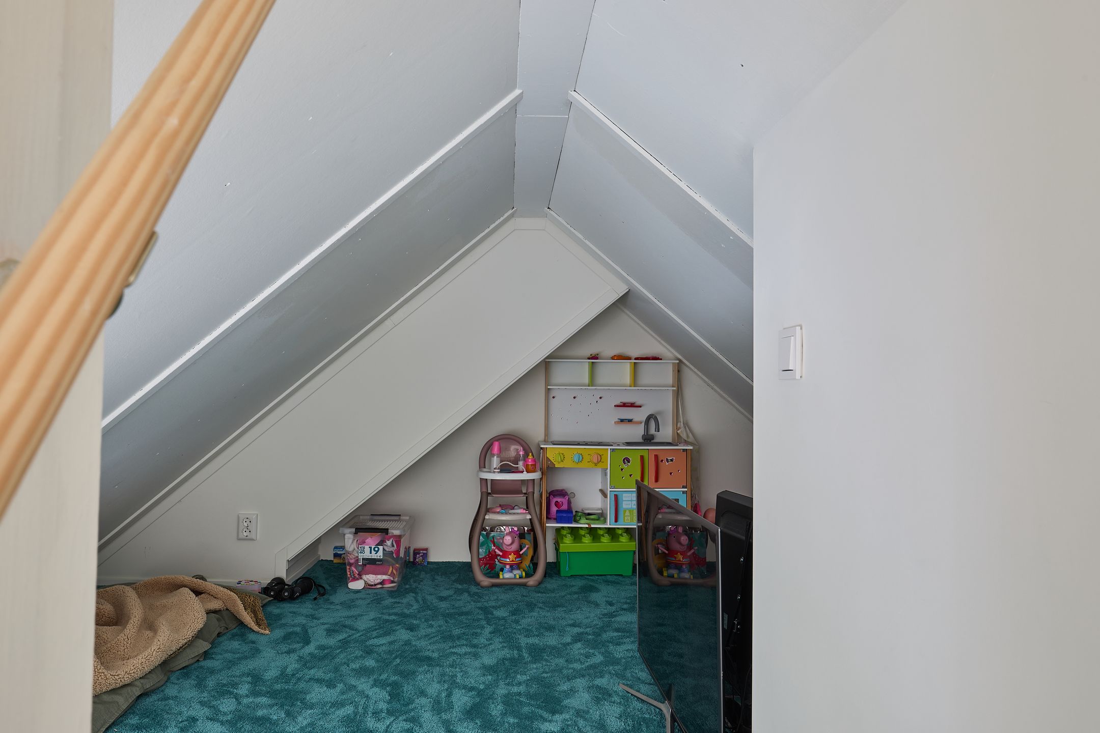 Foto 57 van Vederkruid 1