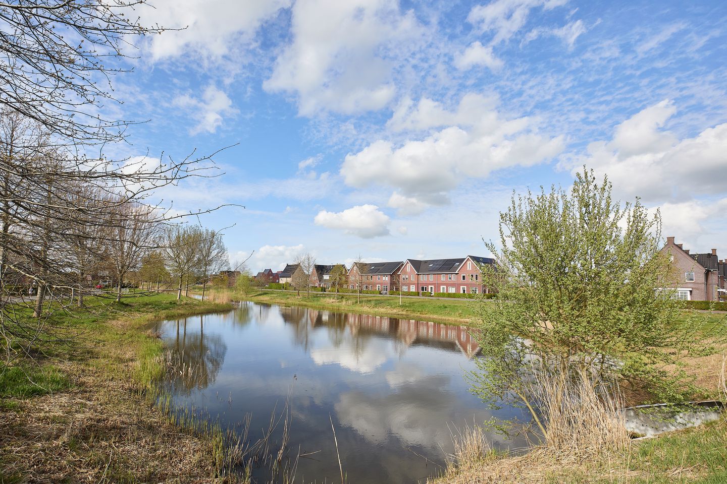 Foto 59 van Vederkruid 1