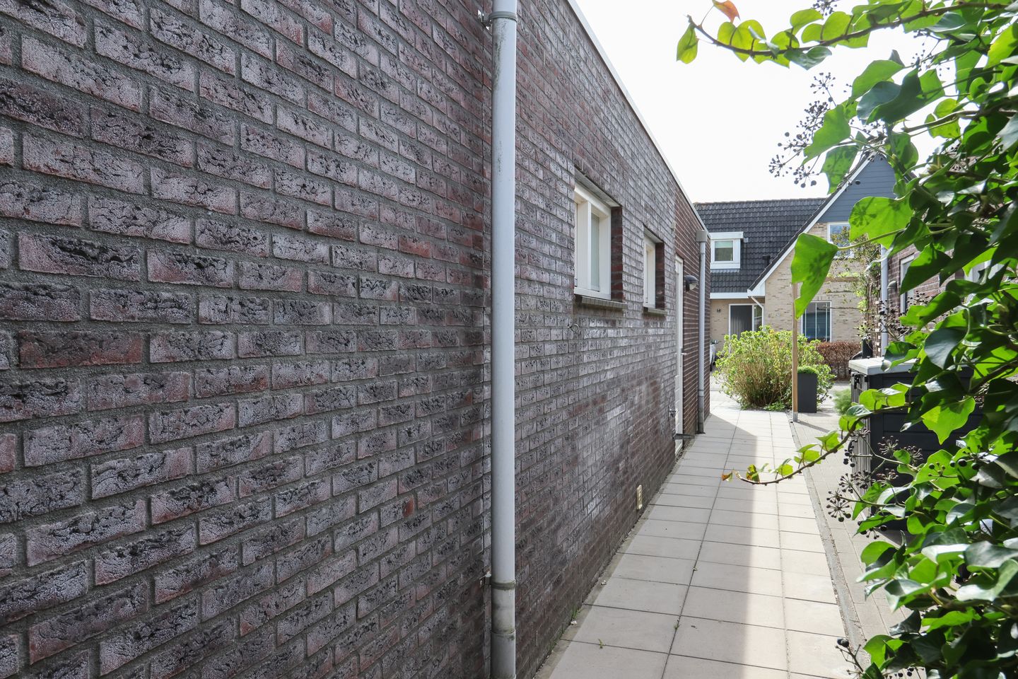 Foto 65 van Offemar 20