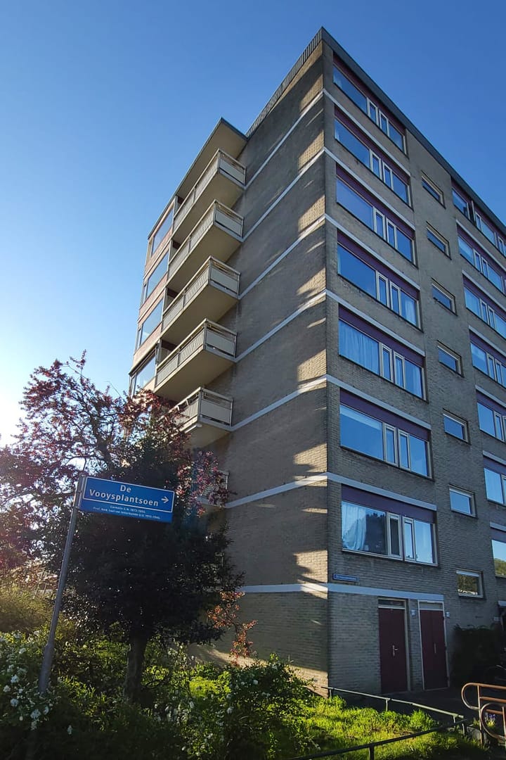 Foto 4 van De Vooysplantsoen 39