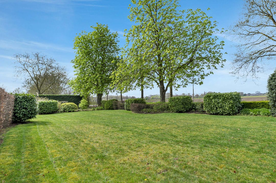 Foto 37 van Bosschenhoofdsestraat 35