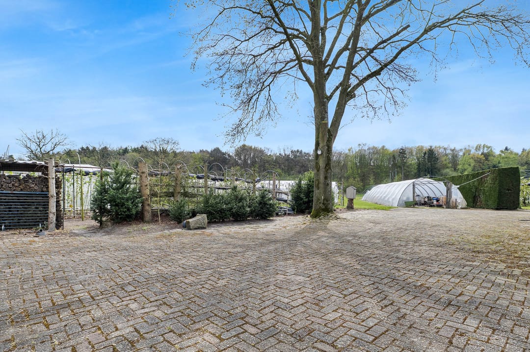 Foto 47 van Bosschenhoofdsestraat 35