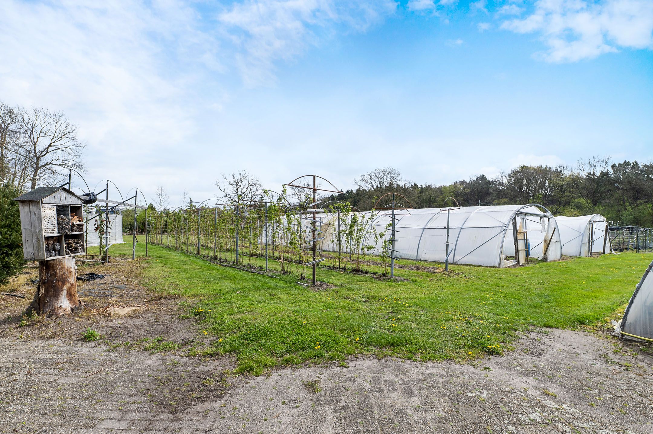 Foto 48 van Bosschenhoofdsestraat 35