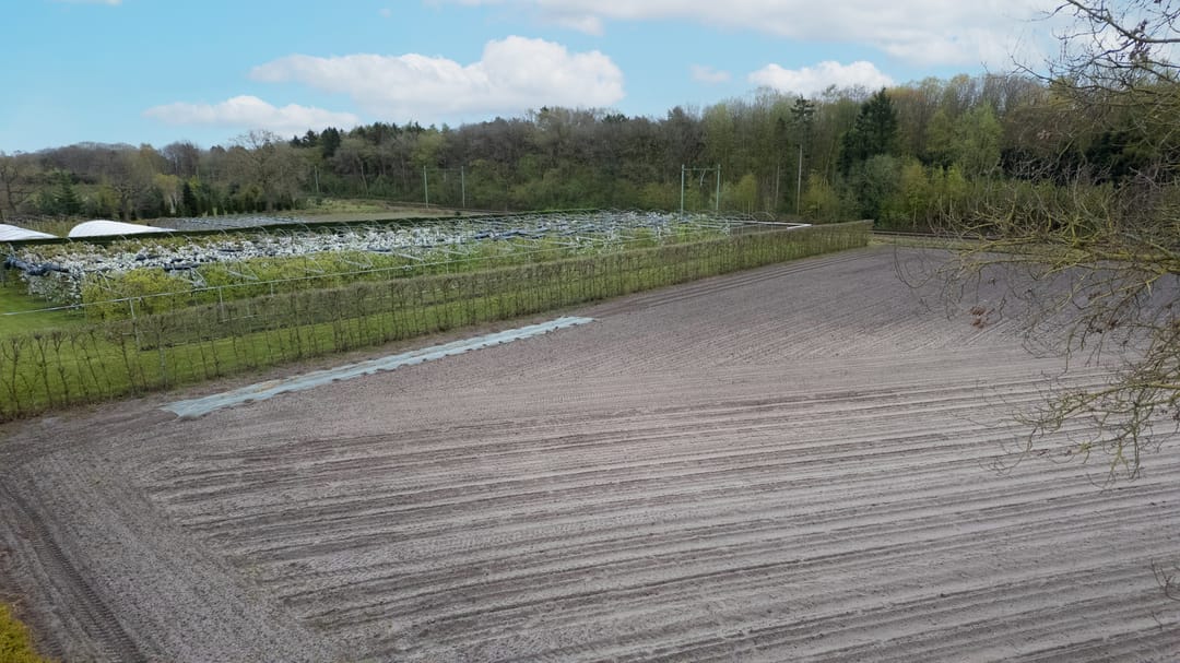 Foto 52 van Bosschenhoofdsestraat 35