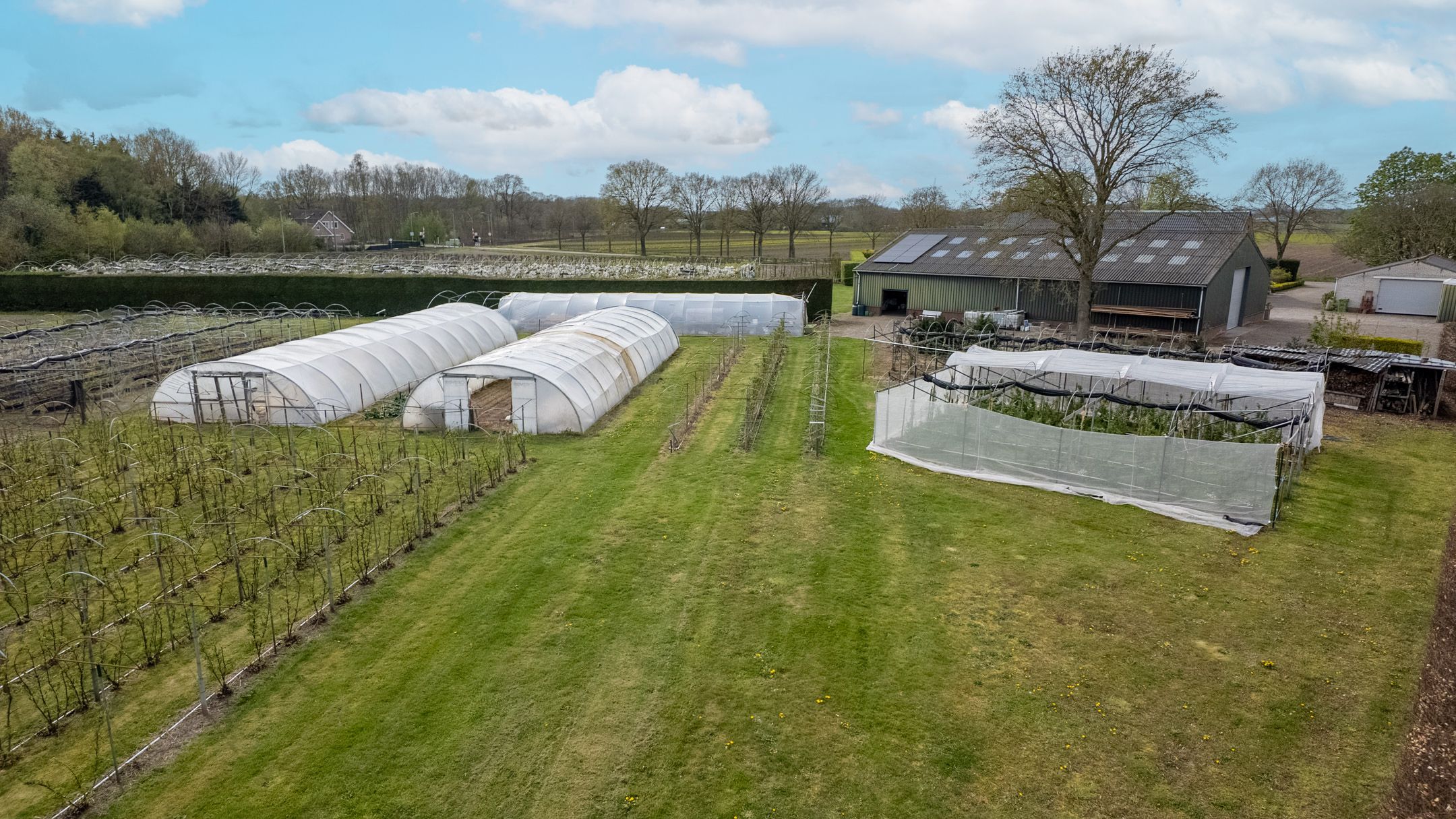 Foto 54 van Bosschenhoofdsestraat 35