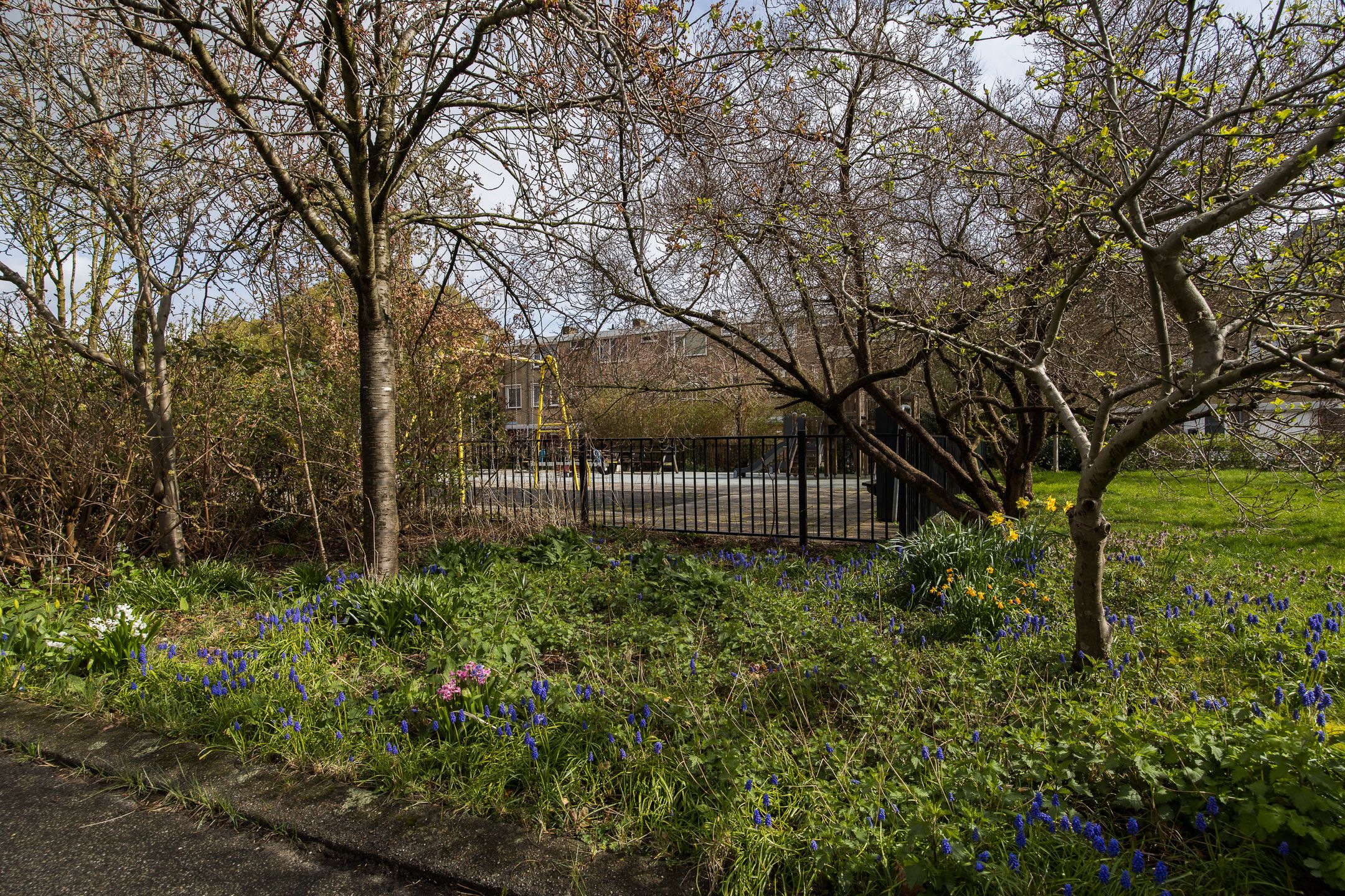 Photo 36 of De Vooysplantsoen 39