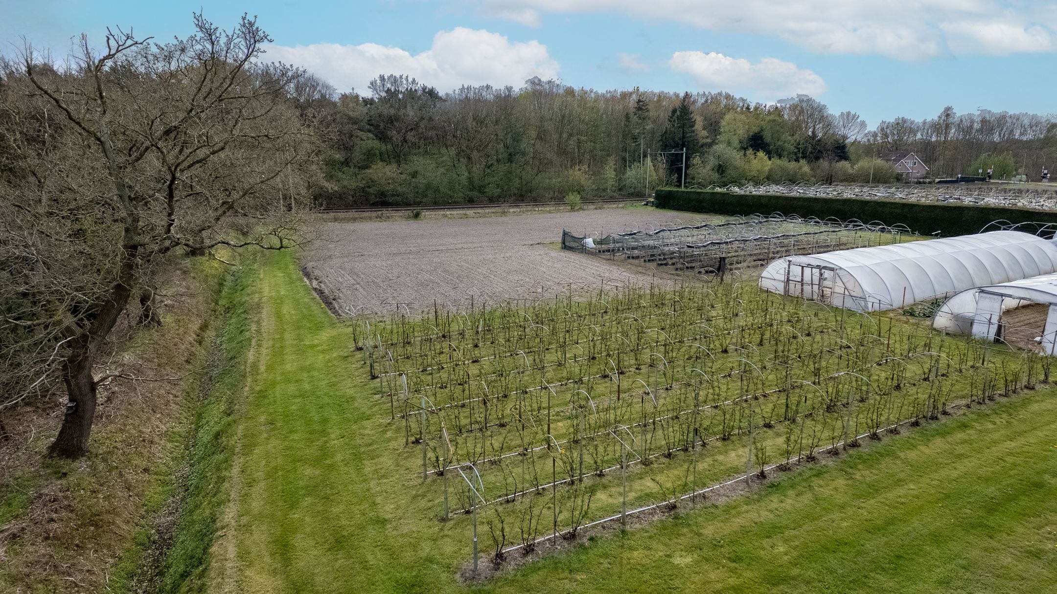 Foto 51 van Bosschenhoofdsestraat 35