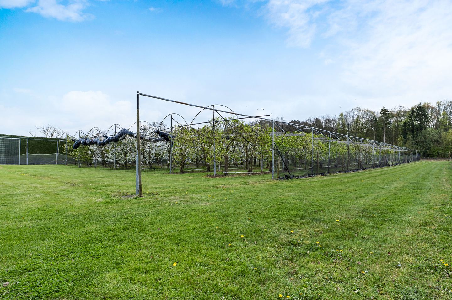 Foto 49 van Bosschenhoofdsestraat 35