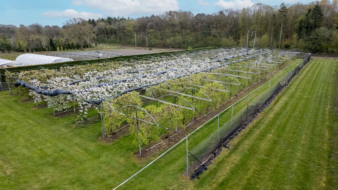 Foto 53 van Bosschenhoofdsestraat 35