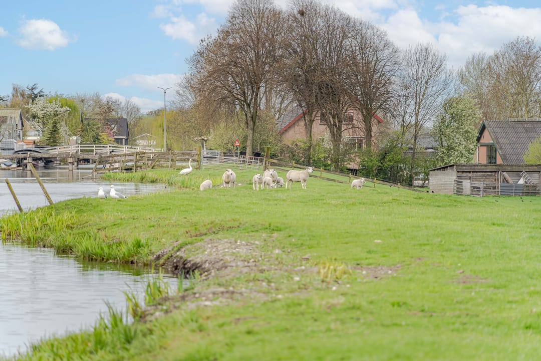 Foto 22 van Noordvaartlaan 23