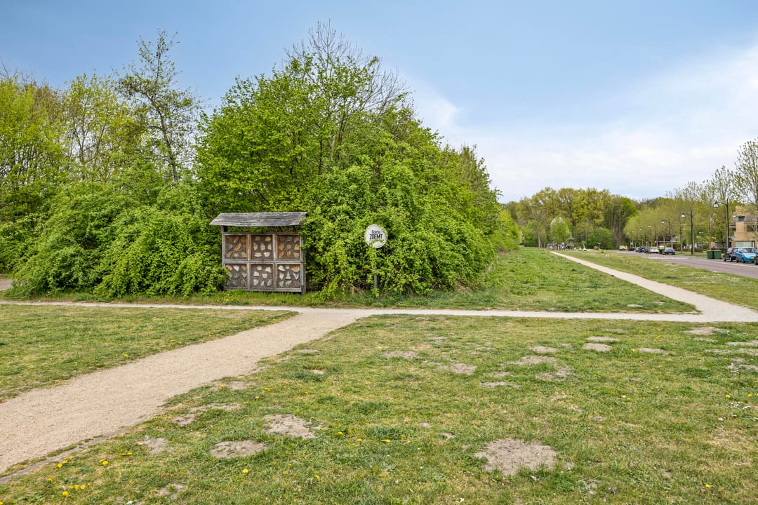 Foto 68 van Middeleeuwen 28