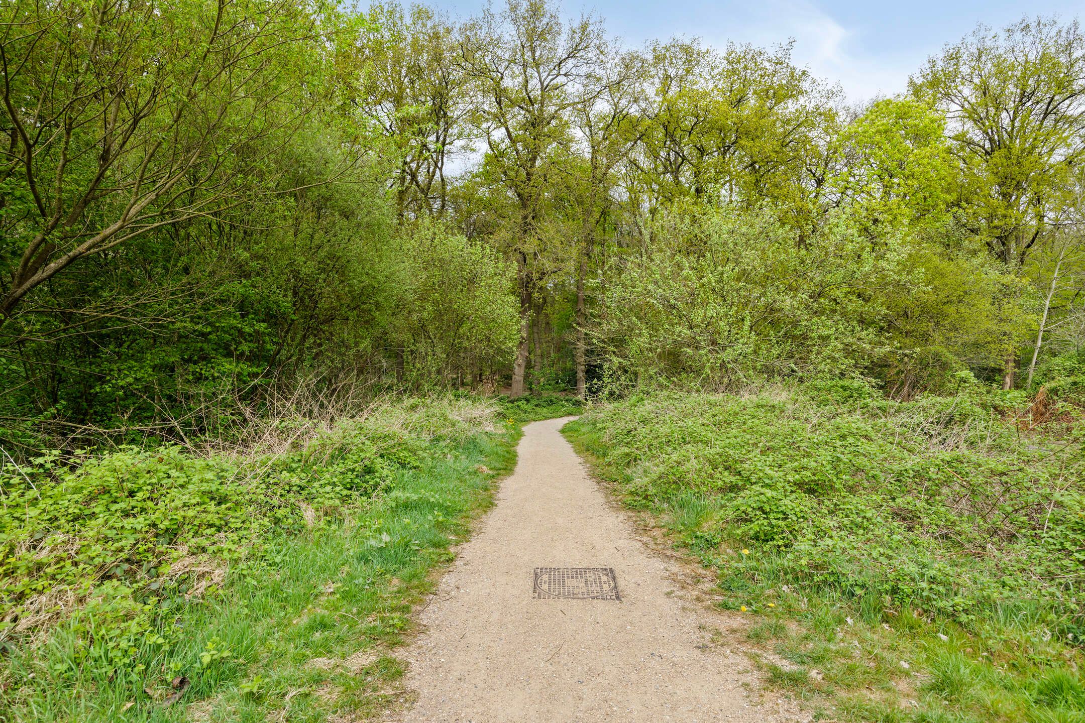 Foto 66 van Middeleeuwen 28