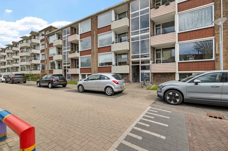 Adriaan van Ostadestraat thumbnail