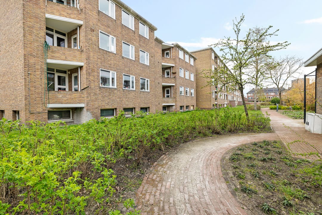 Foto 23 van Adriaan van Ostadestraat 9