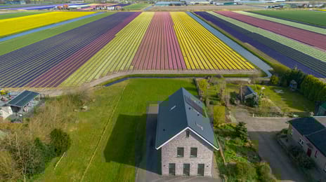 Zilkerduinweg 394-a secondary image