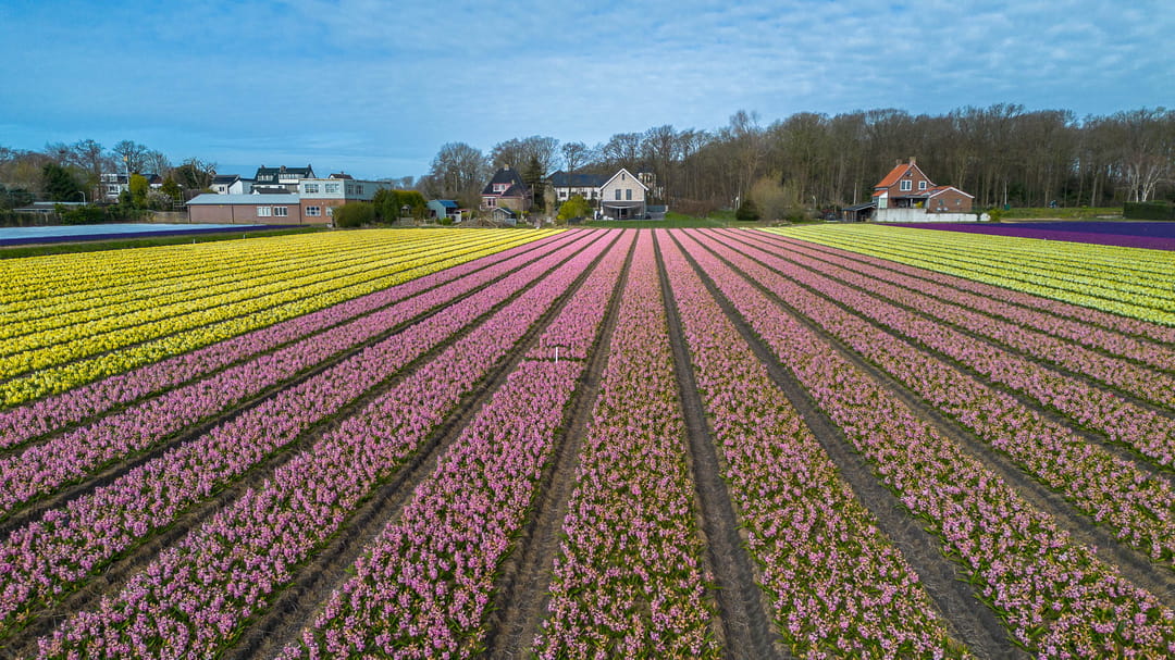 Foto 7 van Zilkerduinweg 394-A