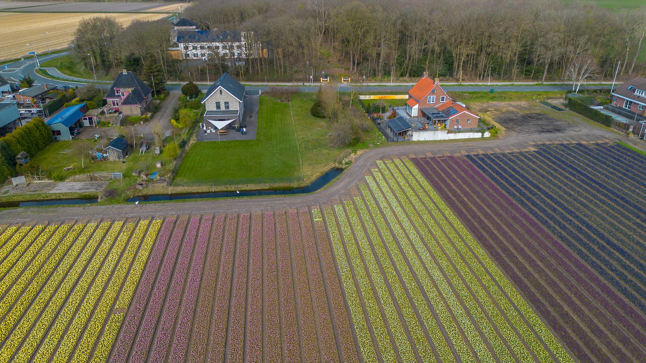 Foto 6 van Zilkerduinweg 394-A