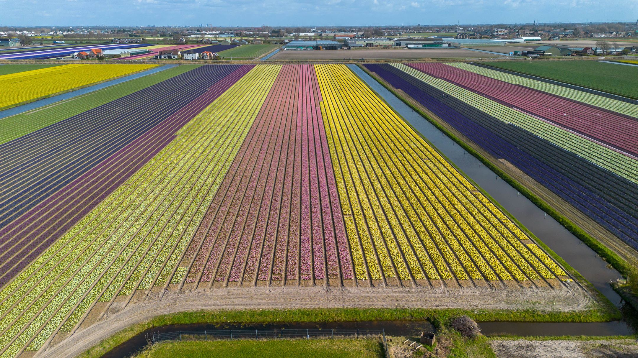 Foto 12 van Zilkerduinweg 394-A