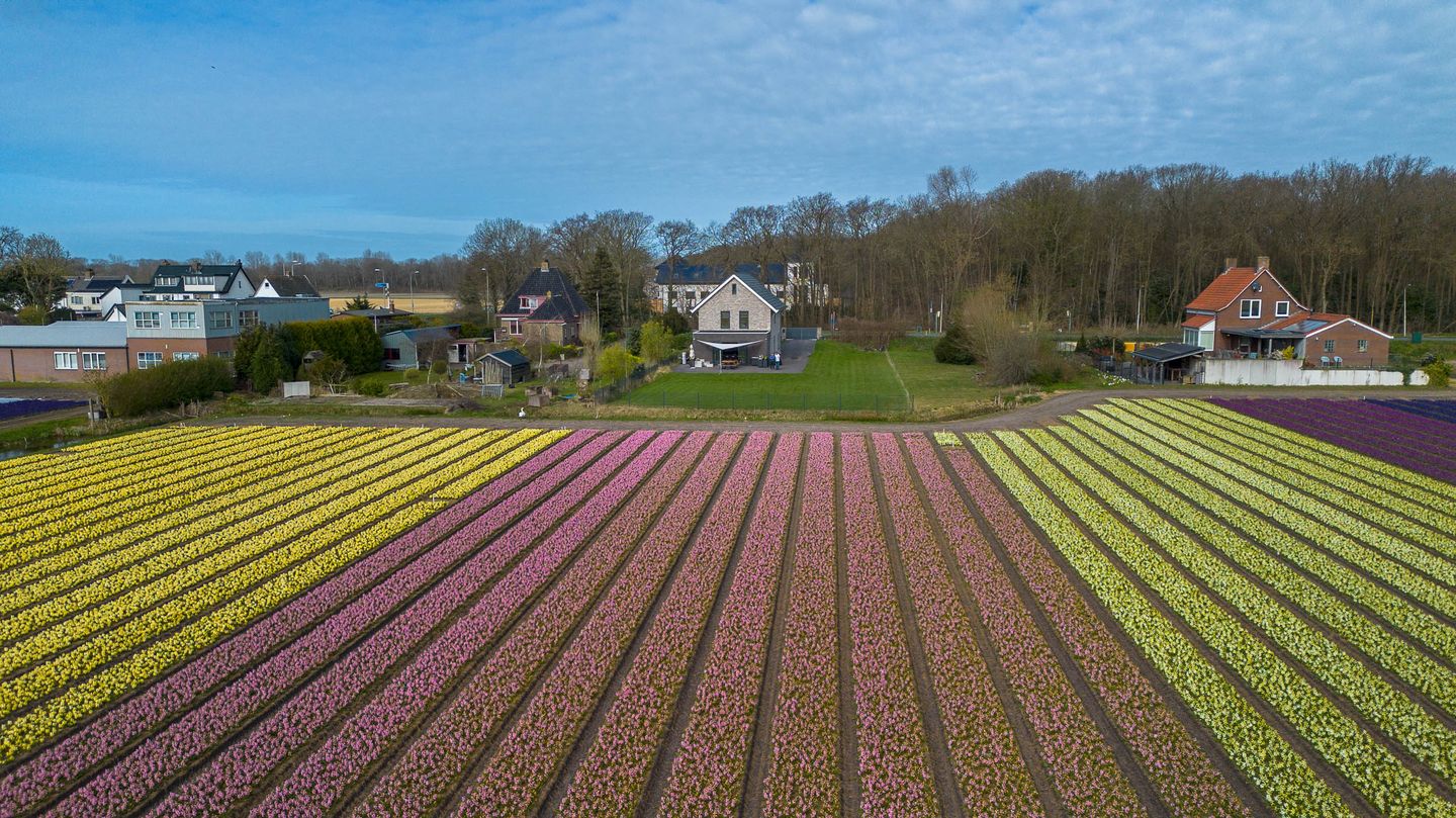 Foto 5 van Zilkerduinweg 394-A