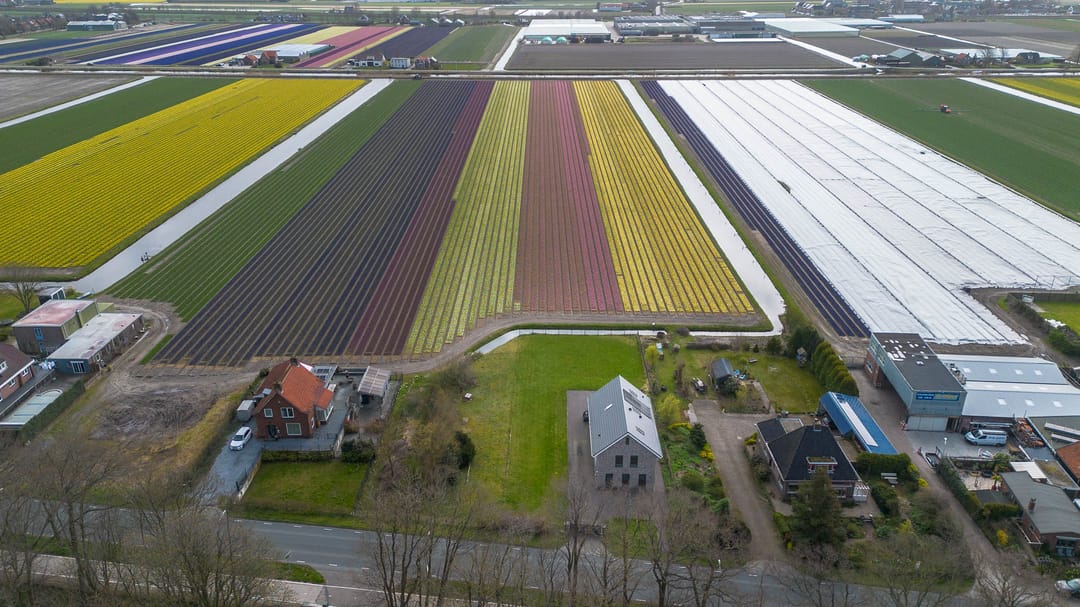 Foto 11 van Zilkerduinweg 394-A