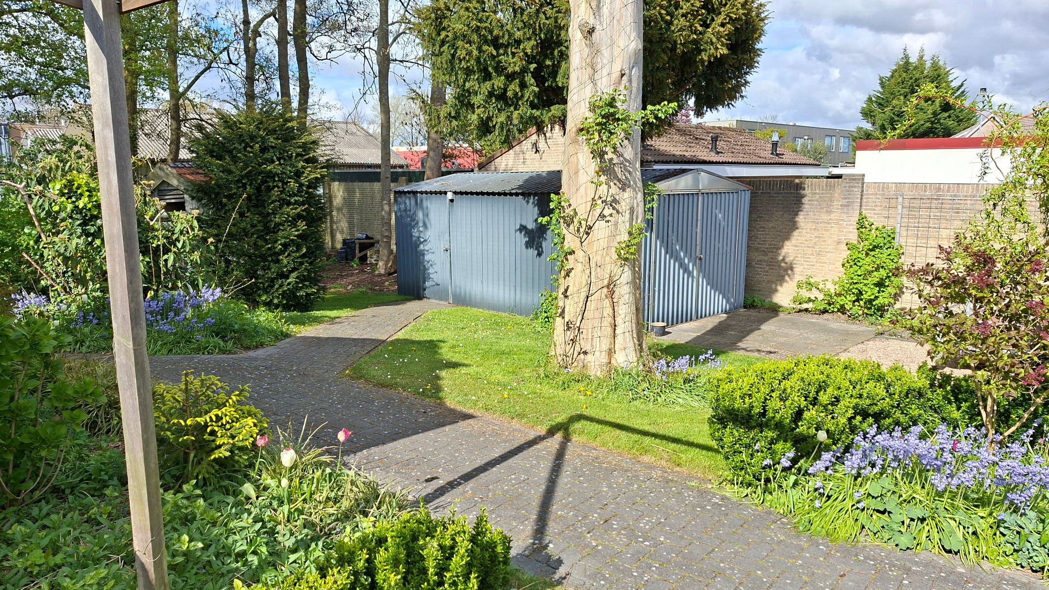 Foto 57 van Krab 1