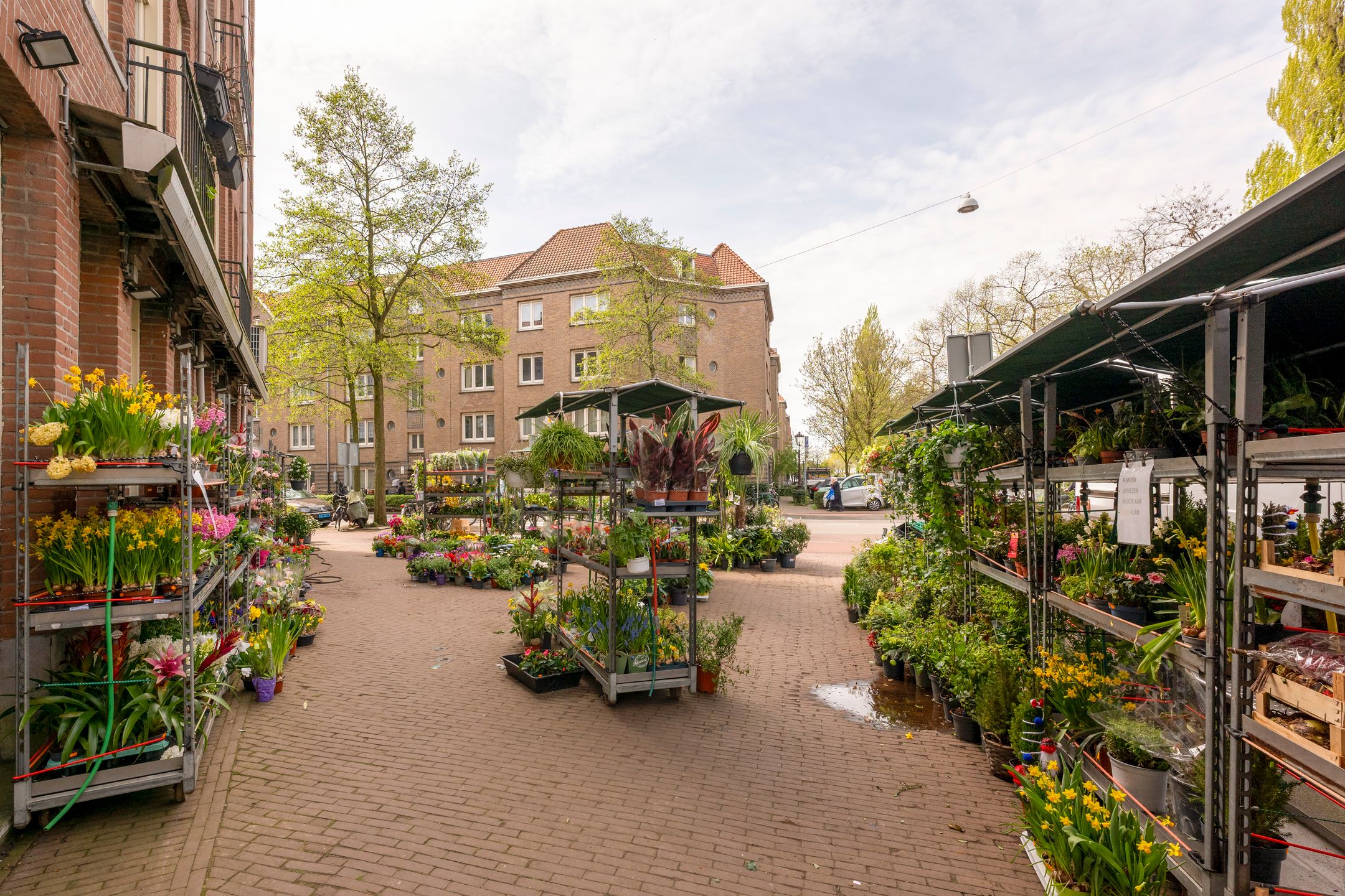 Foto 30 van Eerste Keucheniusstraat 45-H