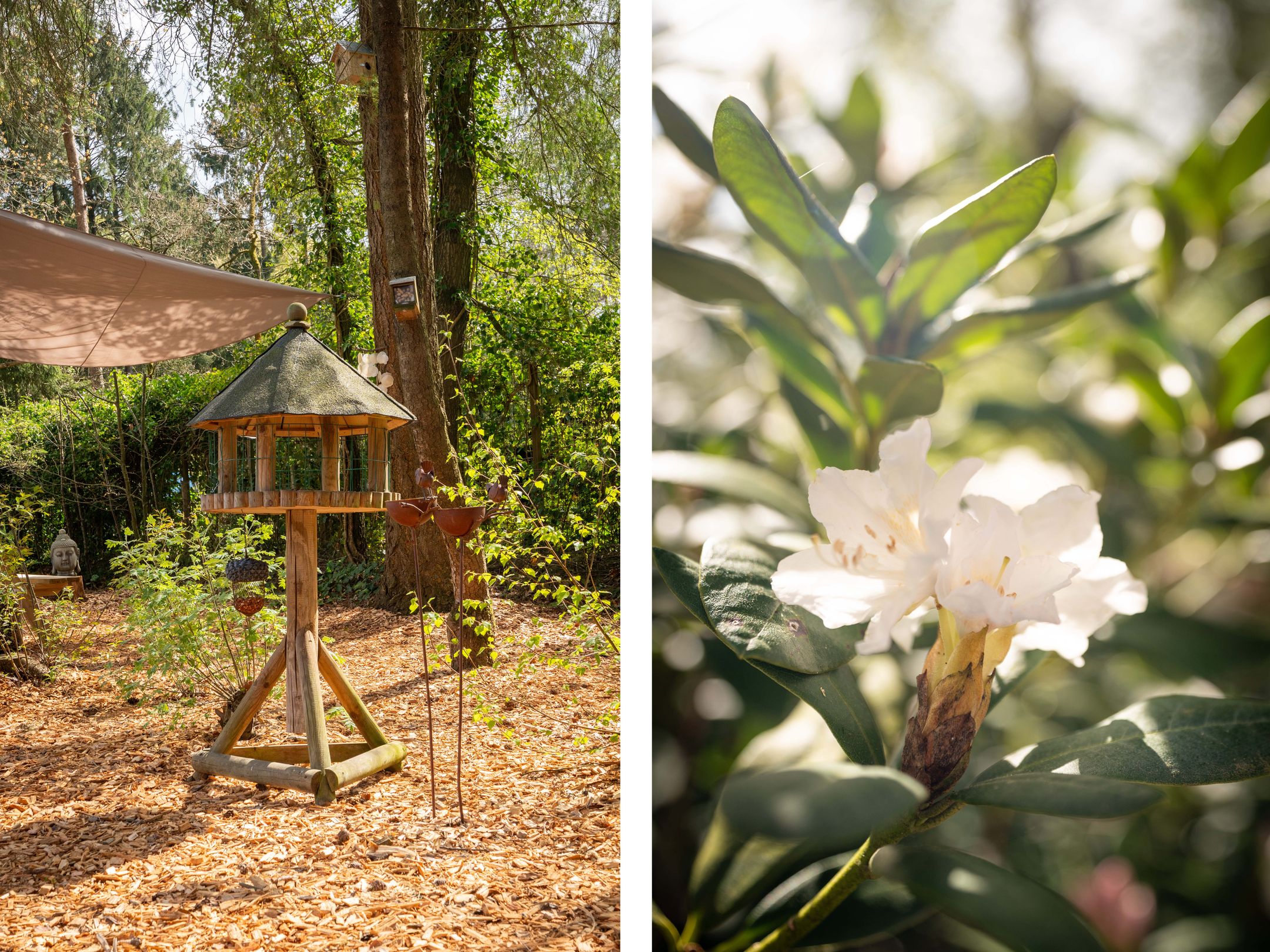 Foto 33 van Centrumweg 5-04