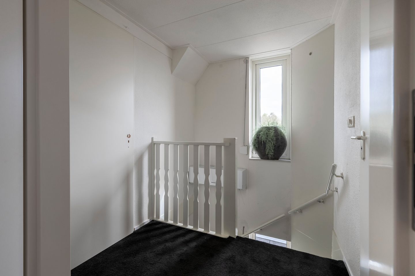 Foto 25 van Bonte Specht 27