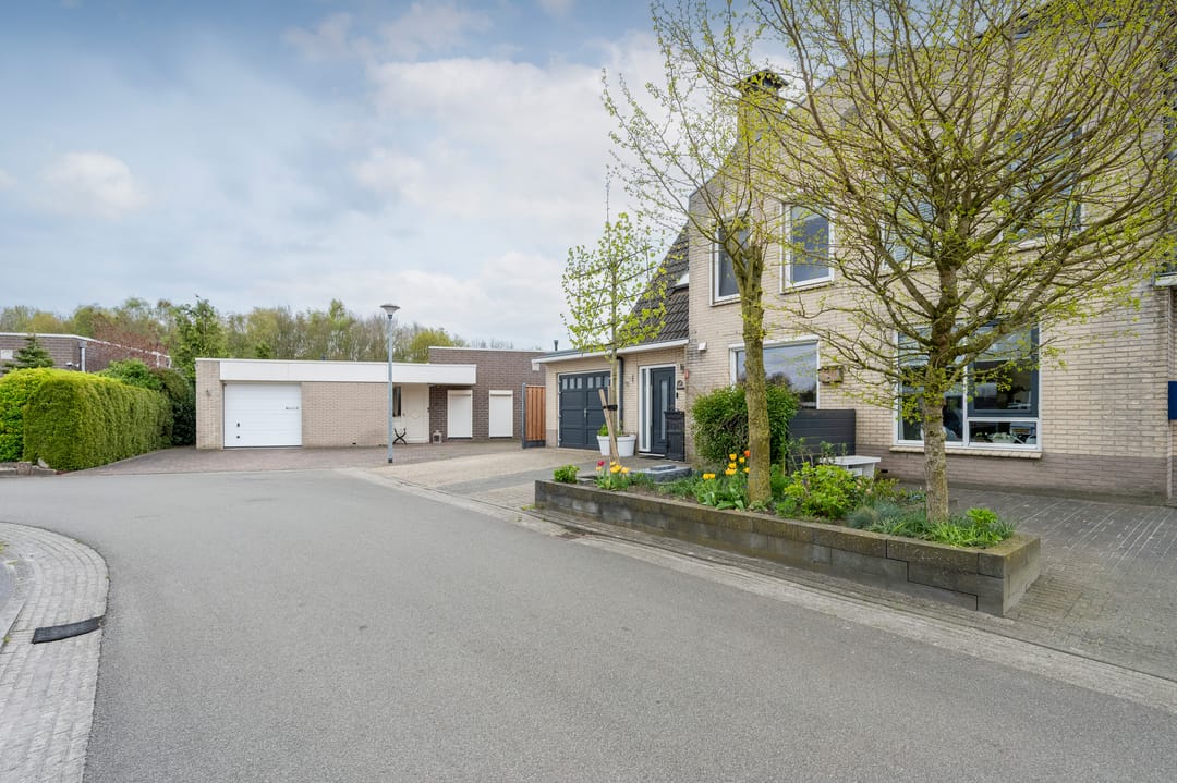 Foto 37 van Bonte Specht 27