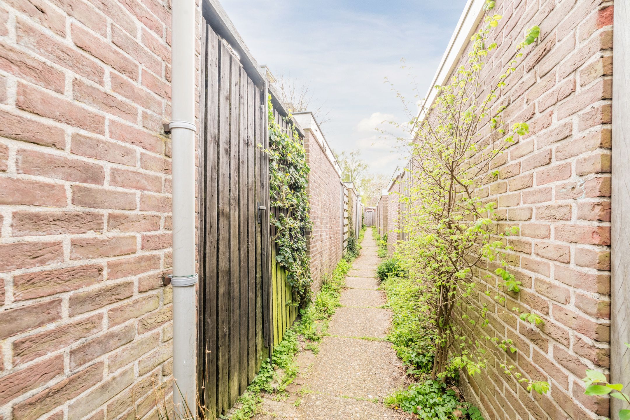 Photo 57 of Kernkampplantsoen 4