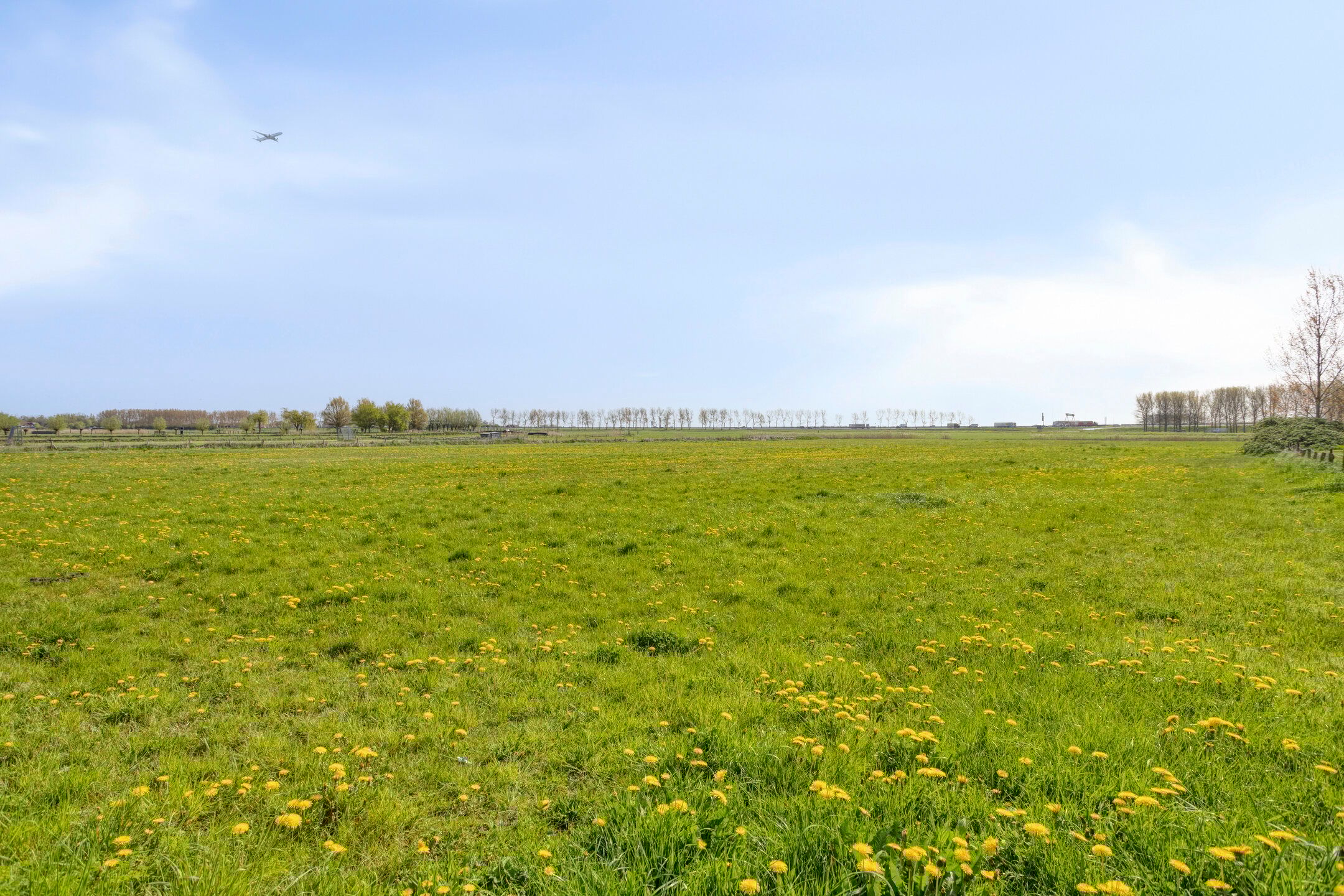 Foto 48 van Burgemeester van Roosmalenstraat 31