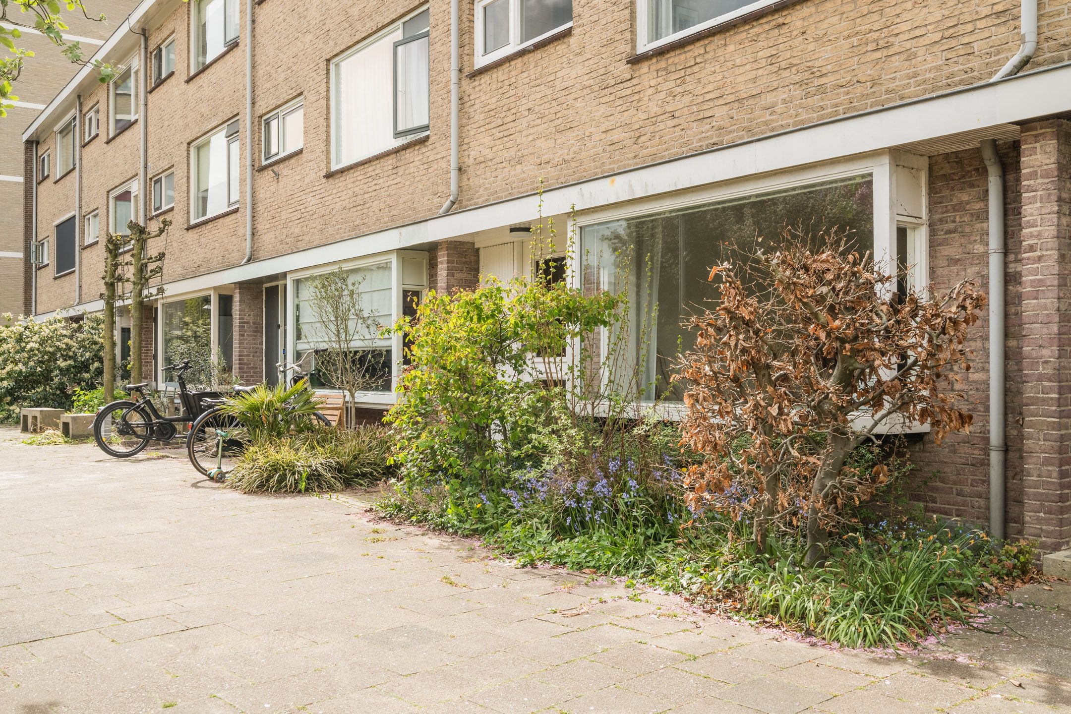 Photo 63 of Kernkampplantsoen 4