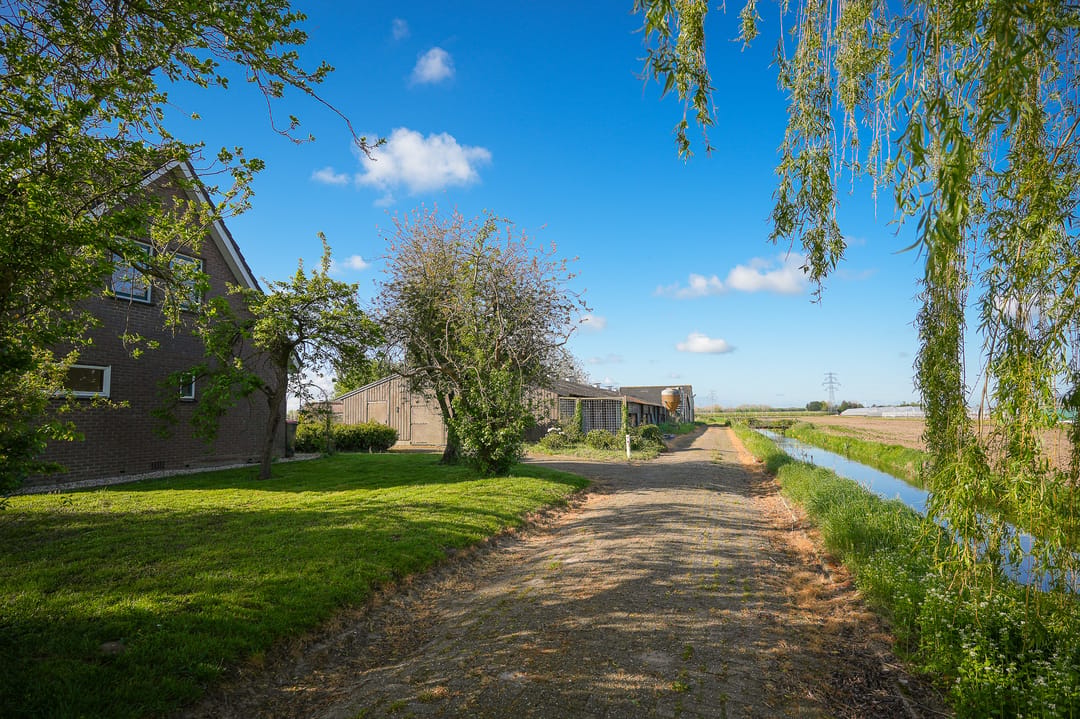 Detached farmhouse with spacious grounds and development potential in the Betuwe — 22