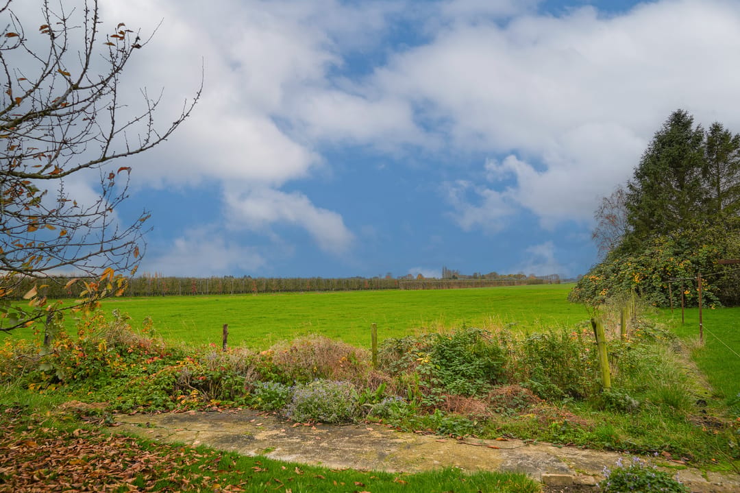Detached farmhouse with spacious grounds and development potential in the Betuwe — 31