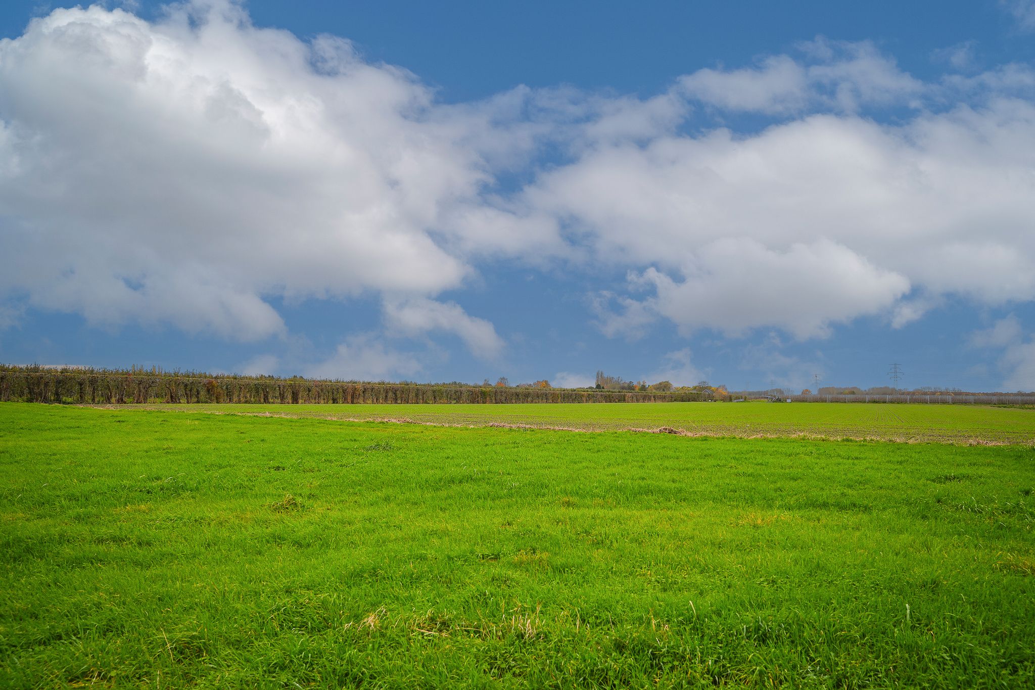 Detached farmhouse with spacious grounds and development potential in the Betuwe — 36