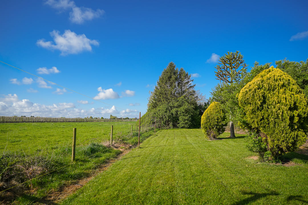 Detached farmhouse with spacious grounds and development potential in the Betuwe — 28