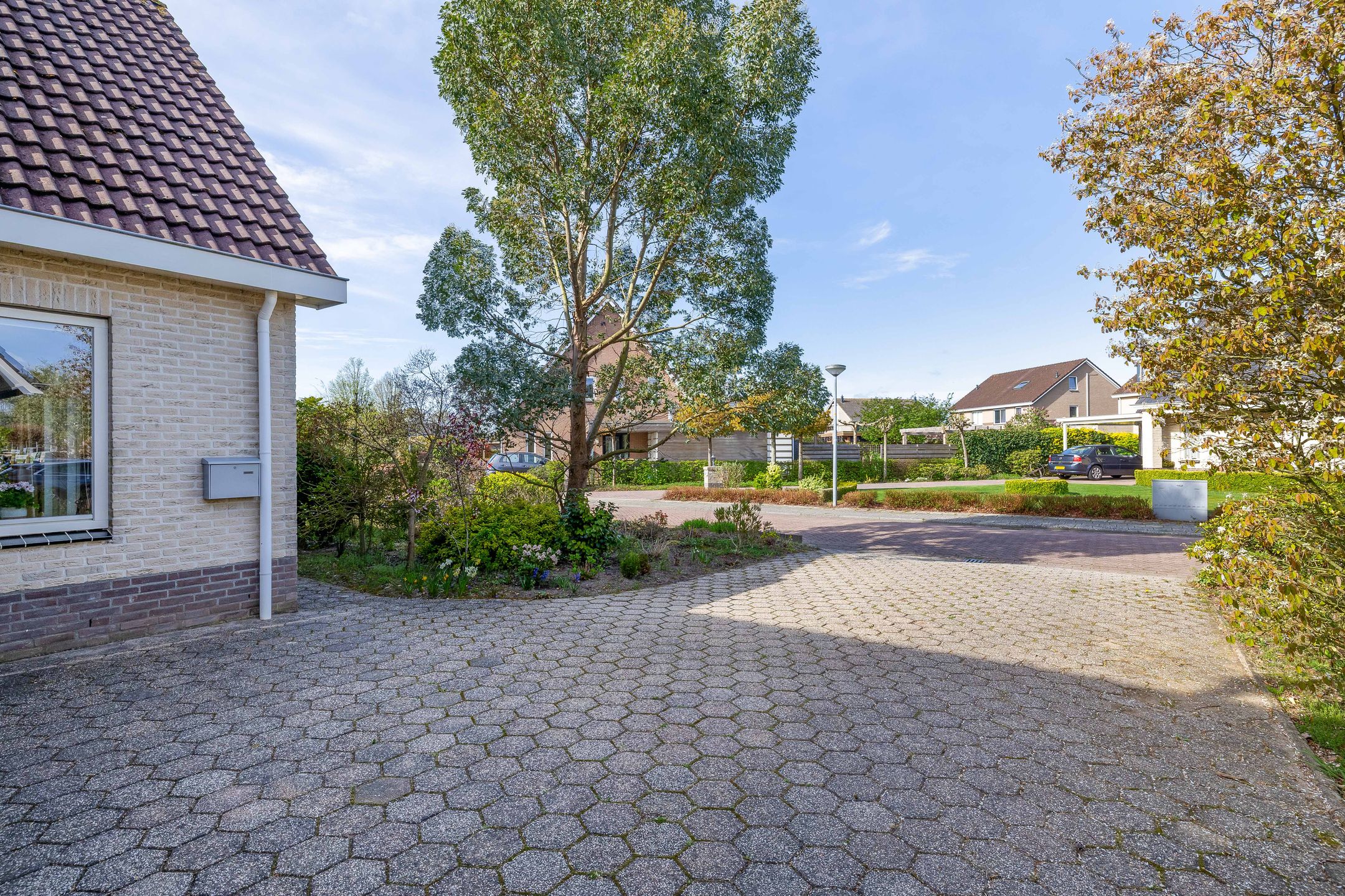 Foto 57 van Korenbloemweg 14