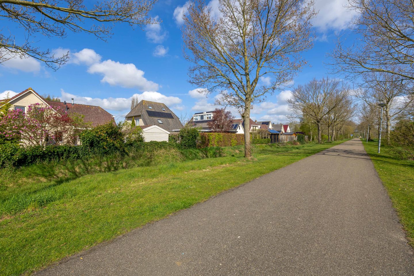 Foto 64 van Korenbloemweg 14