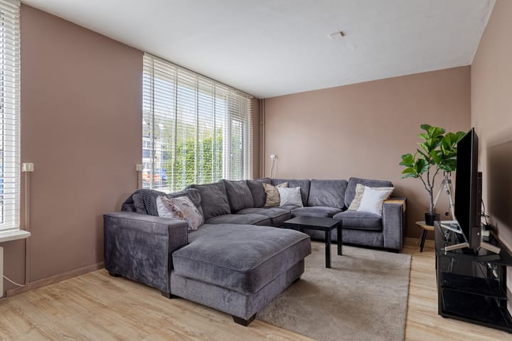 Photo 2 of Triton 12