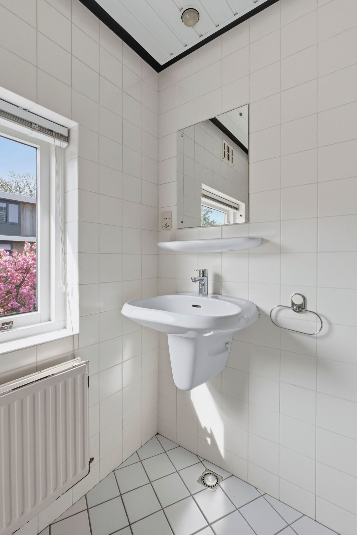 Foto 20 van Bertus van Grouwstraat 43