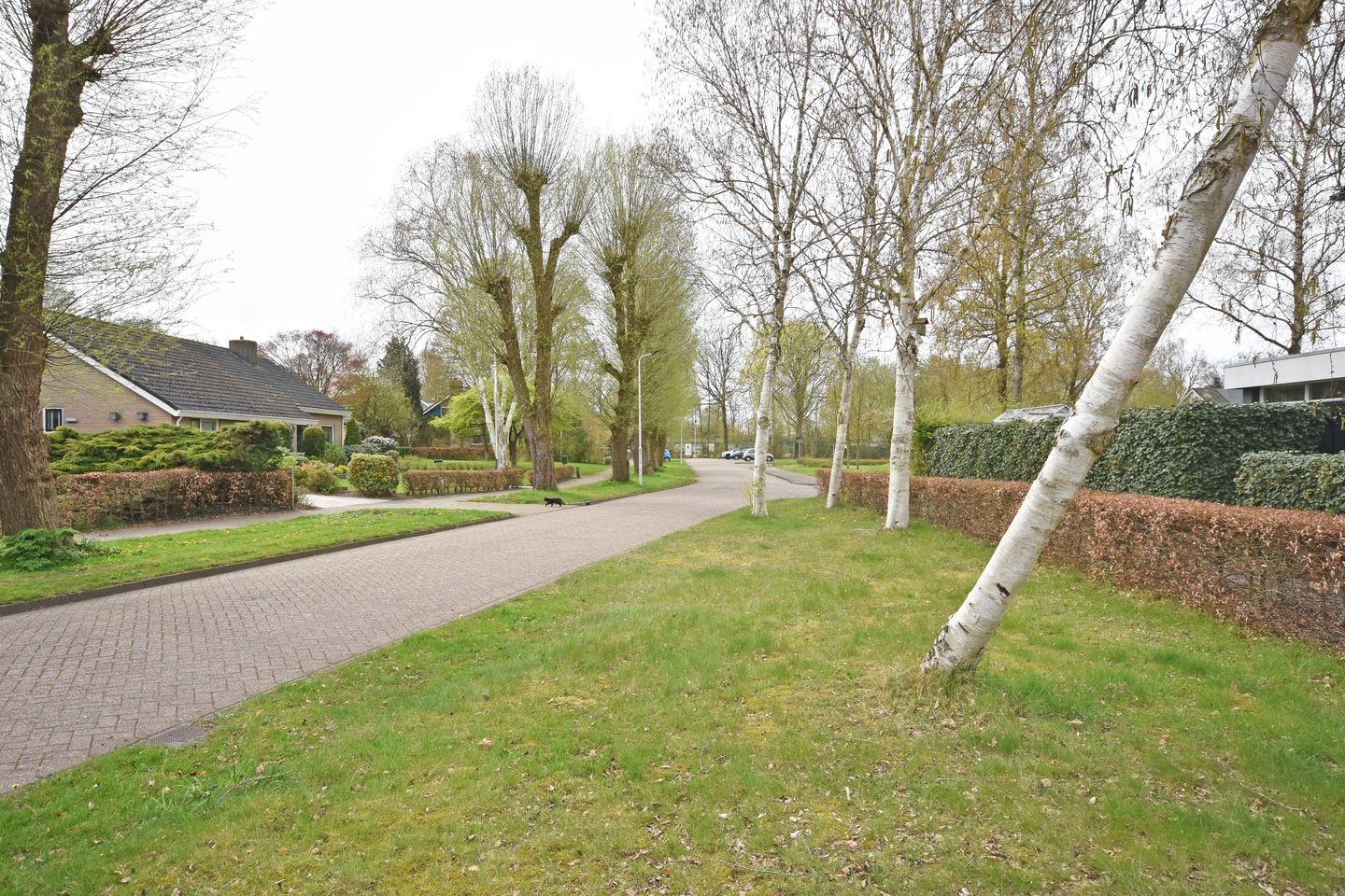 Foto 5 van Gaelekamp 59