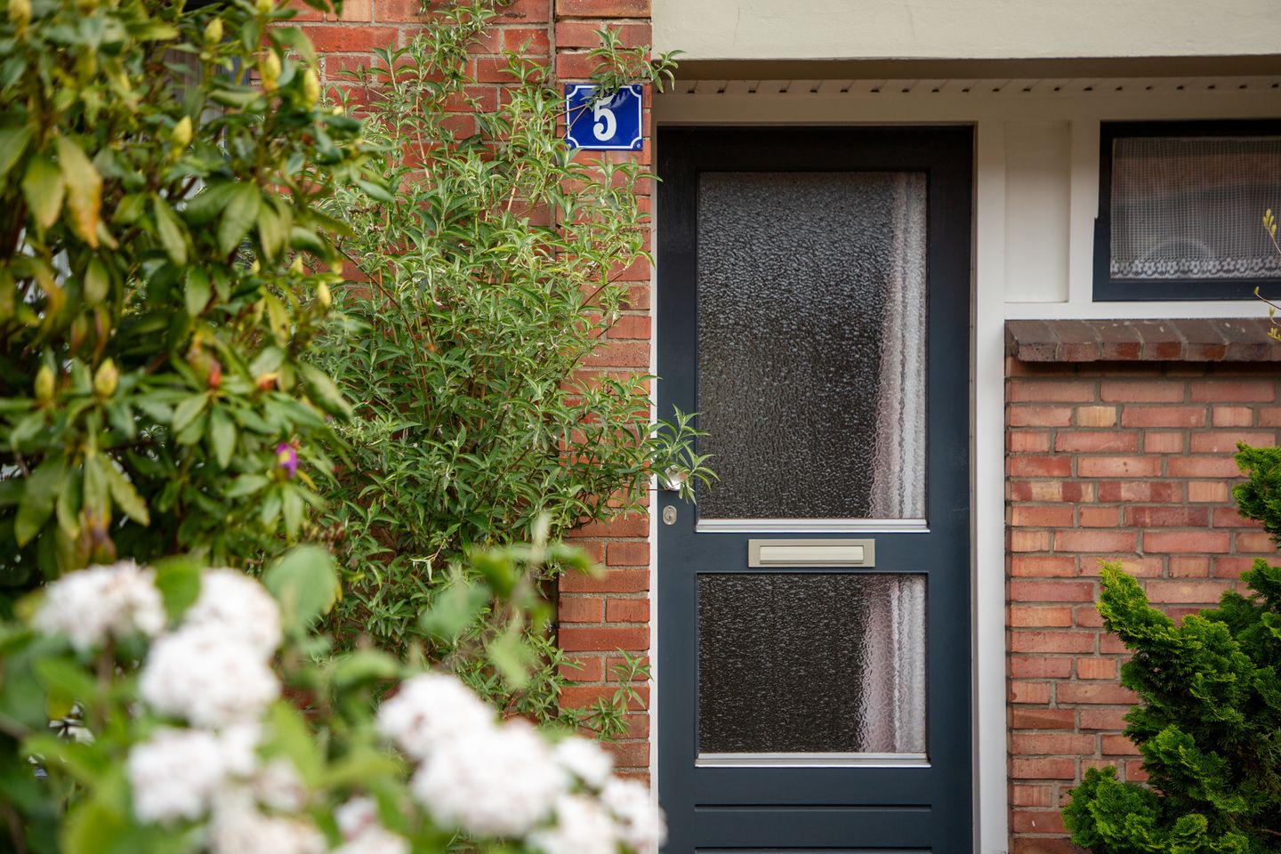 Photo 44 of Hugo de Grootstraat 5