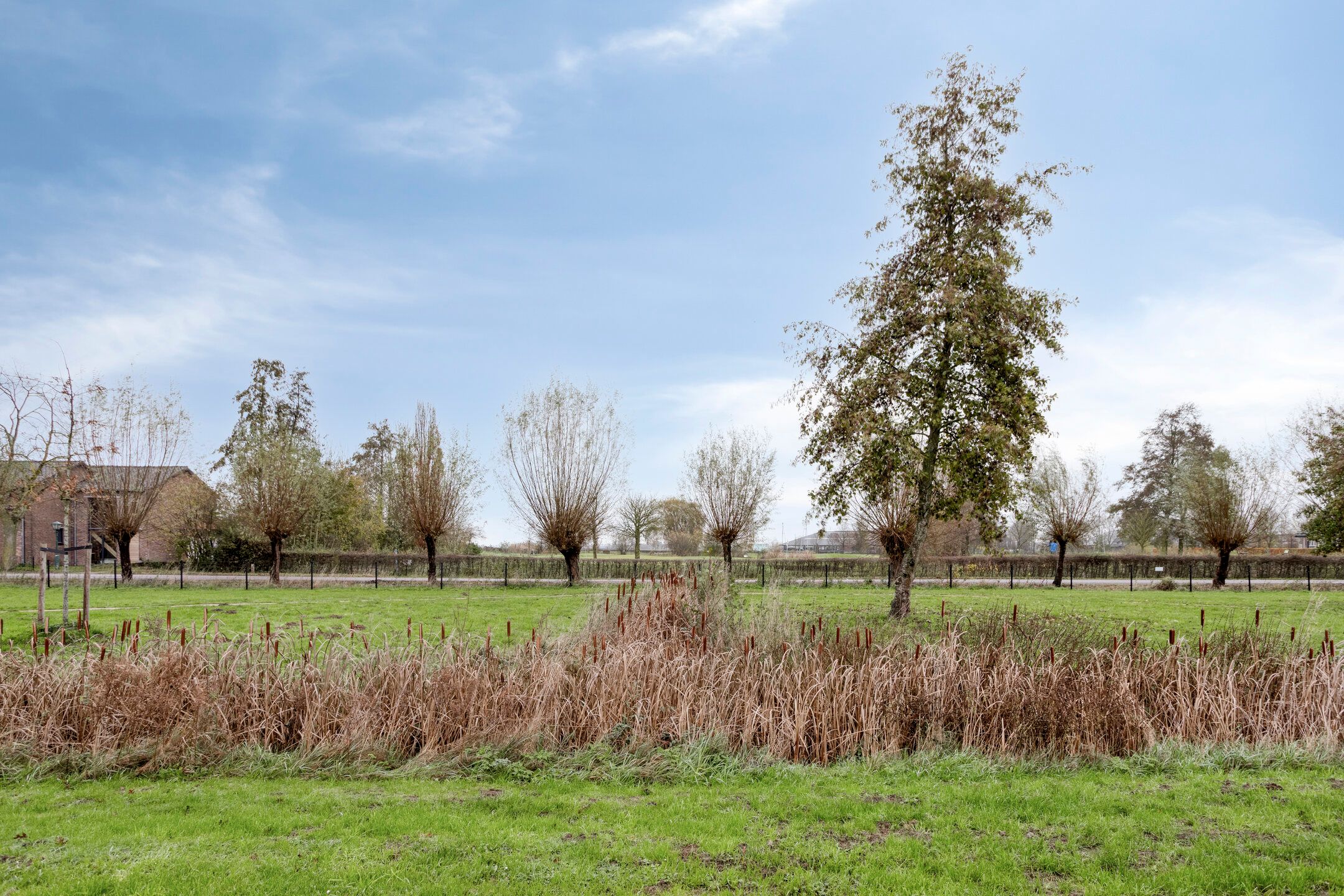 Foto 60 van Hofvijver 41