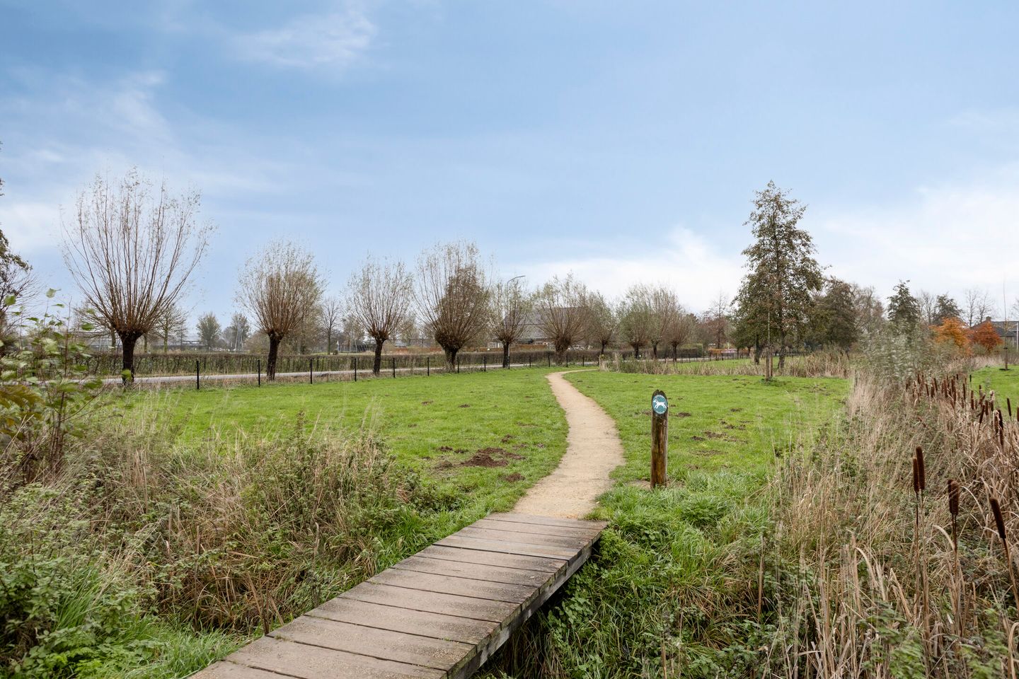 Foto 59 van Hofvijver 41