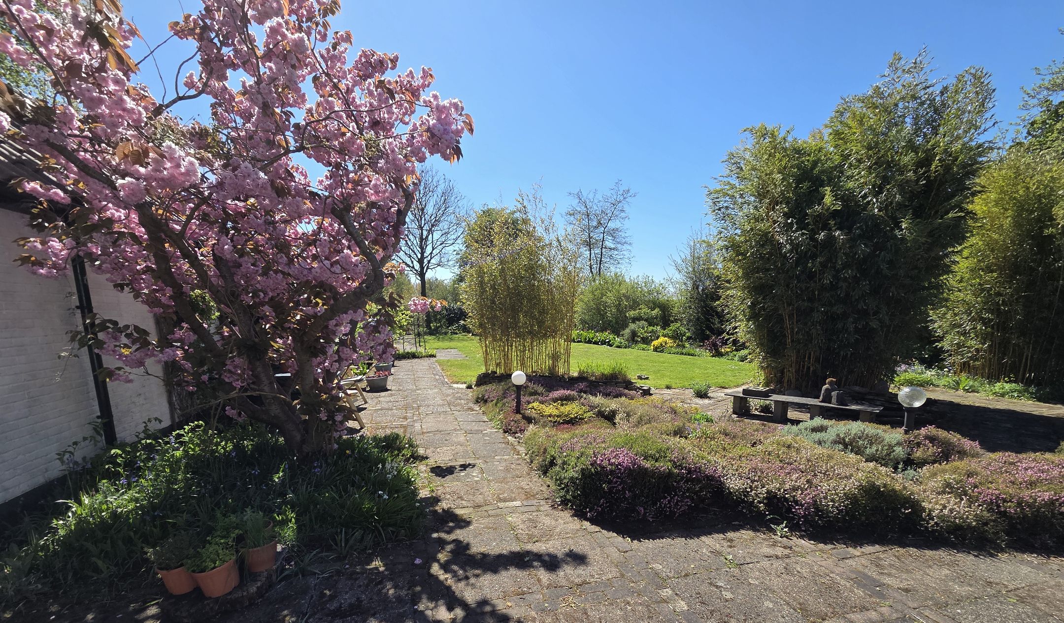 Foto 36 van Dijkweg 181