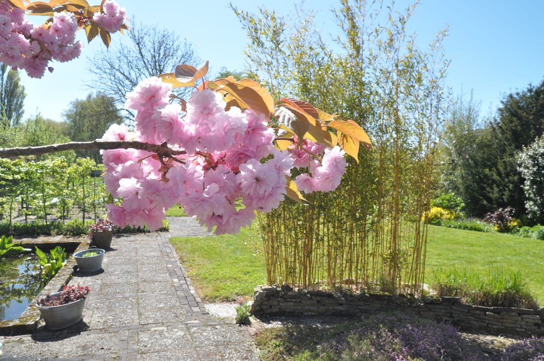 Foto 38 van Dijkweg 181