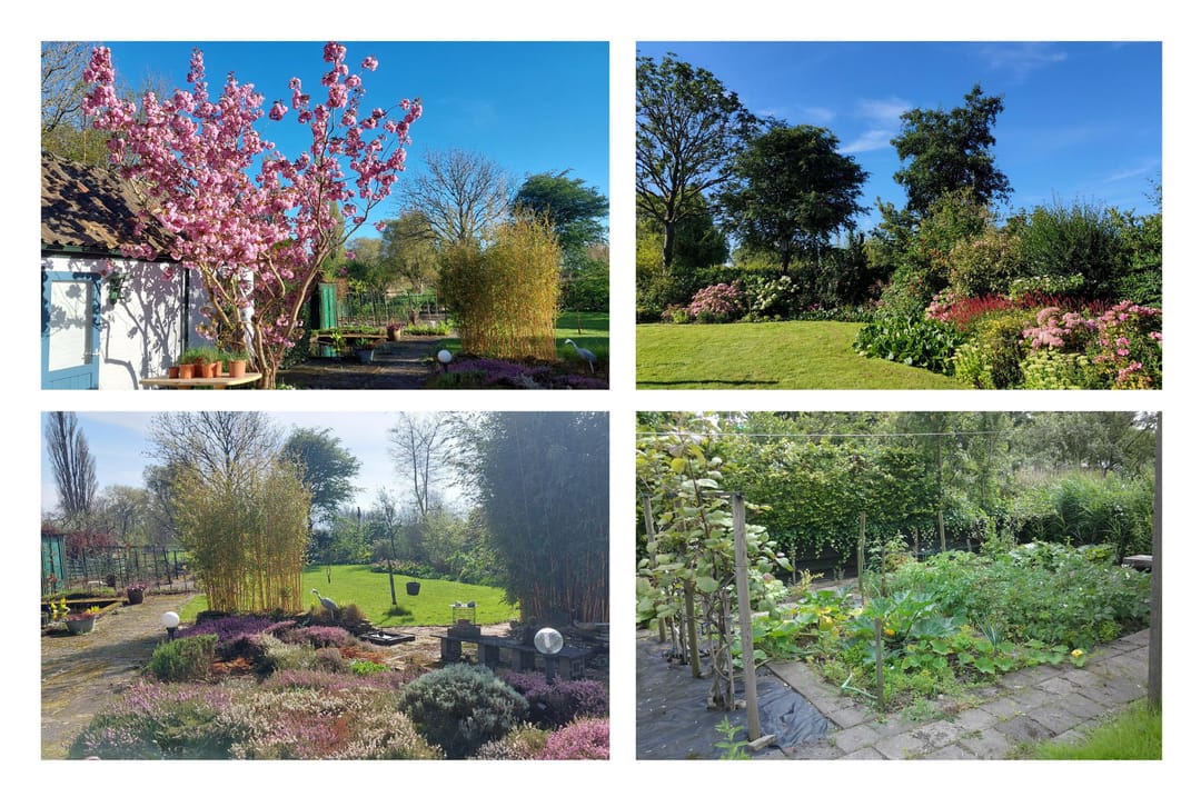 Foto 41 van Dijkweg 181