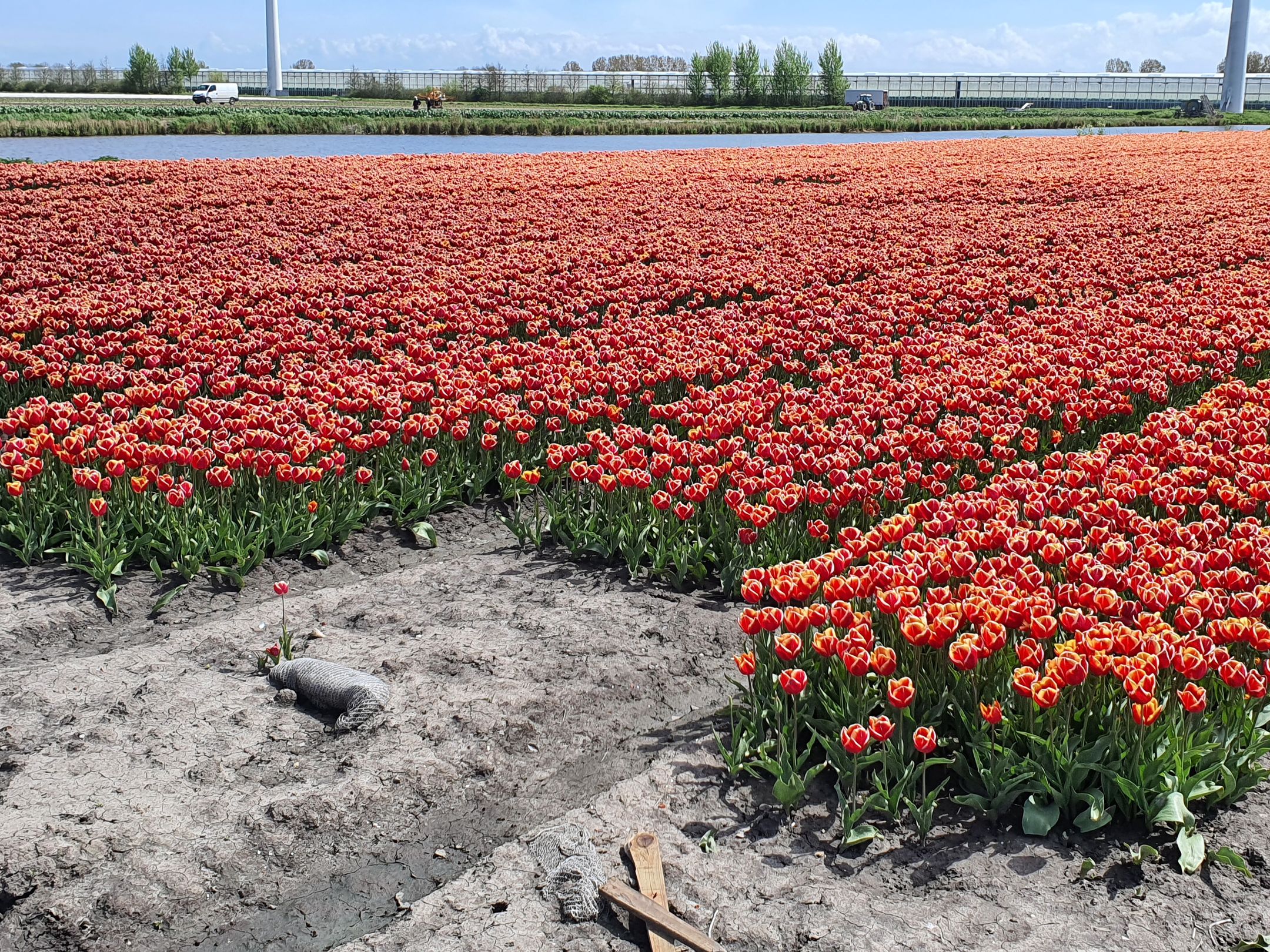 Foto 45 van Dijkweg 181